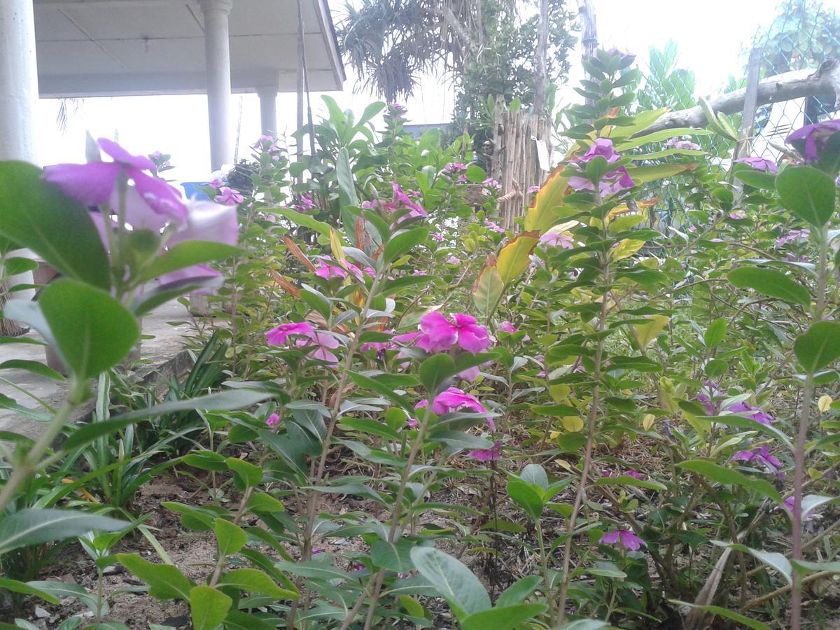 Pandan Beach Homestay Kampong Pandan Εξωτερικό φωτογραφία